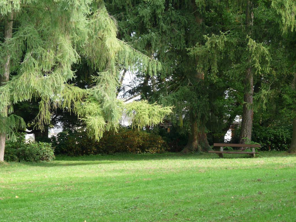 Parkhotel Bad Hall